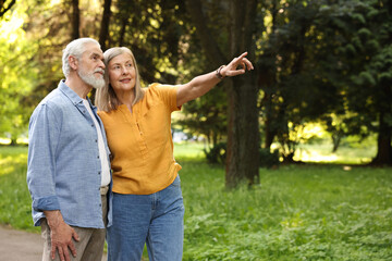 Lovely senior couple walking together in park, space for text