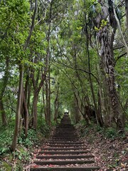 Stair path going uphill in a forest area with trees on both sides. Suitable for travel, tourism,...