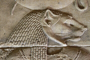 stone carving of a lion