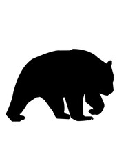 black silhouette of a bear