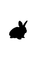 Rabbit black