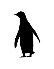 silhouette of a penguin