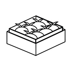 Raised garden bed with healthy tomato plants Vector illustration