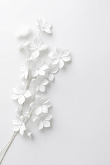 white flowers. stylish minimalistic light background