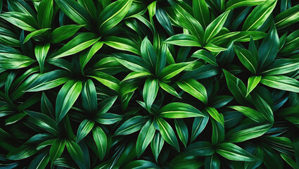 Green foliage background. abstract leaf texture wall