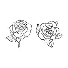 line art of four quality roos flower  bundle on the white background