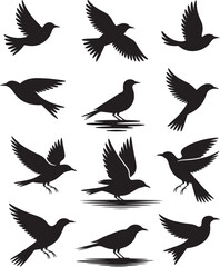 Seagull Silhouette Vector Set with Ocean Waves – Nautical and Coastal Design Elements for Marine-Themed Art and Decor

