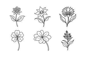 line art of four quality flower  bundle on the white background