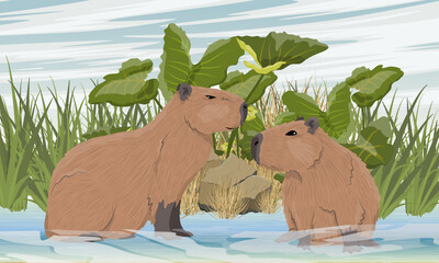 A pair of capybaras are sitting in a pond. Shore of a pond with tall grass. Rodent of South America. Realistic vector landscape
