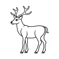 line art of  single reindeer livestock on the white background 