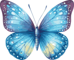 Vector watercollor painted illustration of a blue butterfly