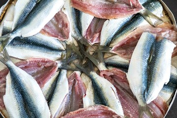 Fresh sardine fish fillets, real and healthy food rich in omega 3