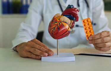 Doctor demonstrating heart model with medication during a patient consultation