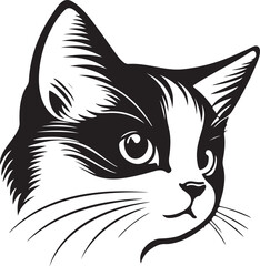 Detailed Cat Illustration with CMYK Colors Grayscale and Helvetica Courier Fonts