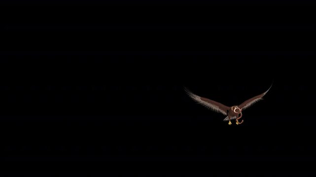 American Golden Eagle with Snake - Flying Transition V - Realistic naturalistic Full HD 3D animation isolated on transparent background with alpha channel
