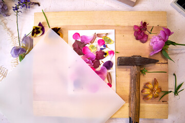 Botanical art in progress – flower petals arranged on paper, covered with parchment, ready to be...
