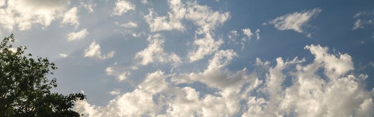 Wide panoramic shot of the day clouds in the sky with tree silhouette in foreground