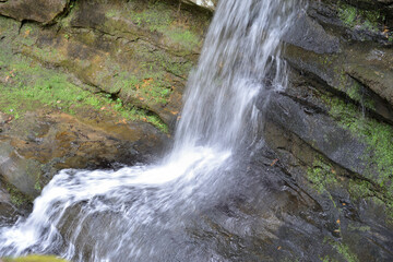 waterfall in the forest