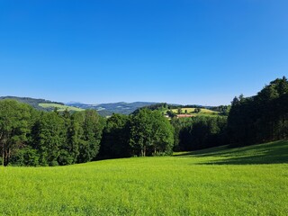 Felder und Wälder in der Buckligen Welt, Niederösterreich