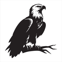 Obraz premium siting eagle Silhouette Vector Art, and Graphic, vector black color silhouette 