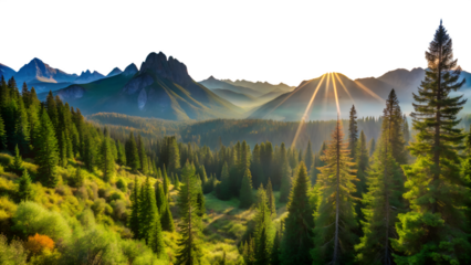 Sun rays over mountain forest landscape isolated on transparent background