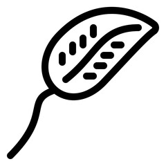 leaf icon