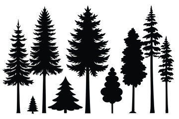 Obraz premium Silhouettes of evergreen trees in a forest setting 
