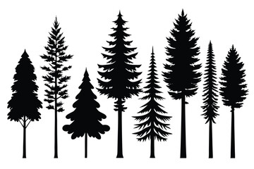 Obraz premium Silhouettes of evergreen trees in a forest setting 