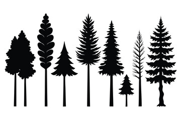 Obraz premium Silhouettes of evergreen trees in a forest setting 