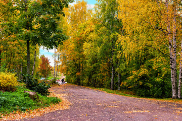 Autumn landscape Street Intelligent Parts in Vyborg