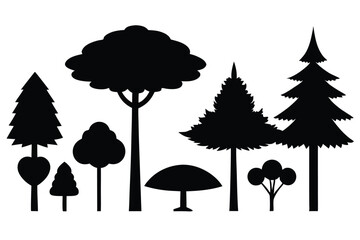 Silhouettes of evergreen trees in a forest setting
