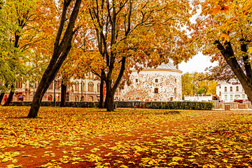 Autumn landscape in Vyborg with a view of the round tower from Lenin Park