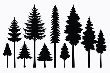 Obraz premium Silhouettes of evergreen trees in a forest setting 