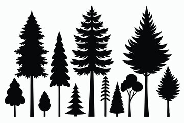 Obraz premium Silhouettes of evergreen trees in a forest setting 