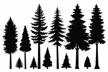 Obraz premium Silhouettes of evergreen trees in a forest setting 