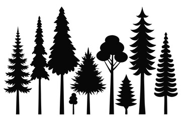 Fototapeta premium Silhouettes of evergreen trees in a forest setting 