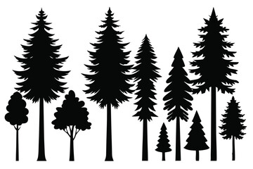 Obraz premium Silhouettes of evergreen trees in a forest setting 