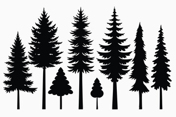 Obraz premium Silhouettes of evergreen trees in a forest setting 