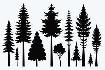 Silhouettes of evergreen trees in a forest setting
