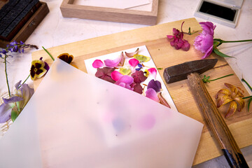 Botanical art in progress – flower petals arranged on paper, covered with parchment, ready to be...