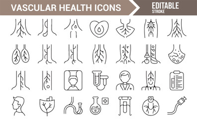 Minimalist Vascular System Icons for Healthcare, Clinic, and Medical Websites