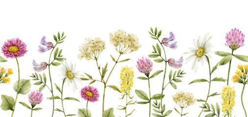 Seamless pattern with watercolor wild flowers. Hand drawn illustration.