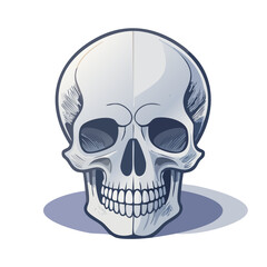 Obraz premium Stylized Skull Illustration with Light and Shadow. Decorative Anatomy Concept. Isolated Vector Graphic for Spooky or Horror Design Projects. Anatomy Icon