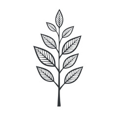 Fototapeta premium Botanical Leaf Illustration with Veins and Stem Minimalist Plant Design