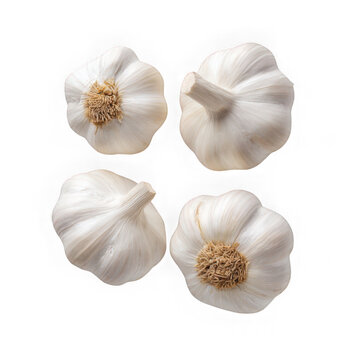 Four heads of garlic with white skin and brown tops on a white background view