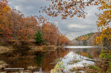 Fall/Autumn Landscapes, Trees and scenes