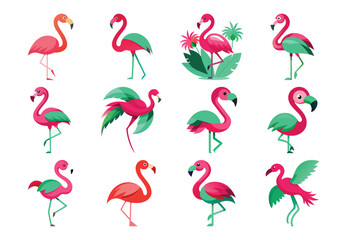 Cartoon Flamingo Vector Set – Colorful Tropical Bird Illustrations in Different Poses on white background

