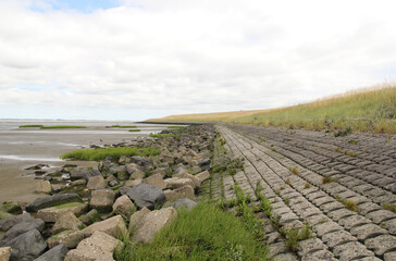 a coast landscape of the westerschelde sea with stones and and a muddy salt marsh along the seawall