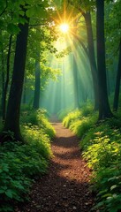 Naklejka premium Sunlit Forest Path Winding Through Lush Greenery, Magical Atmosphere, Perfect for Nature Travel and Adventure