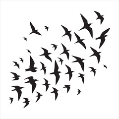 Fototapeta premium Simple bird vector silhouette flying against a clear sky, wings spread wide, minimal detail , black colour vactor 
